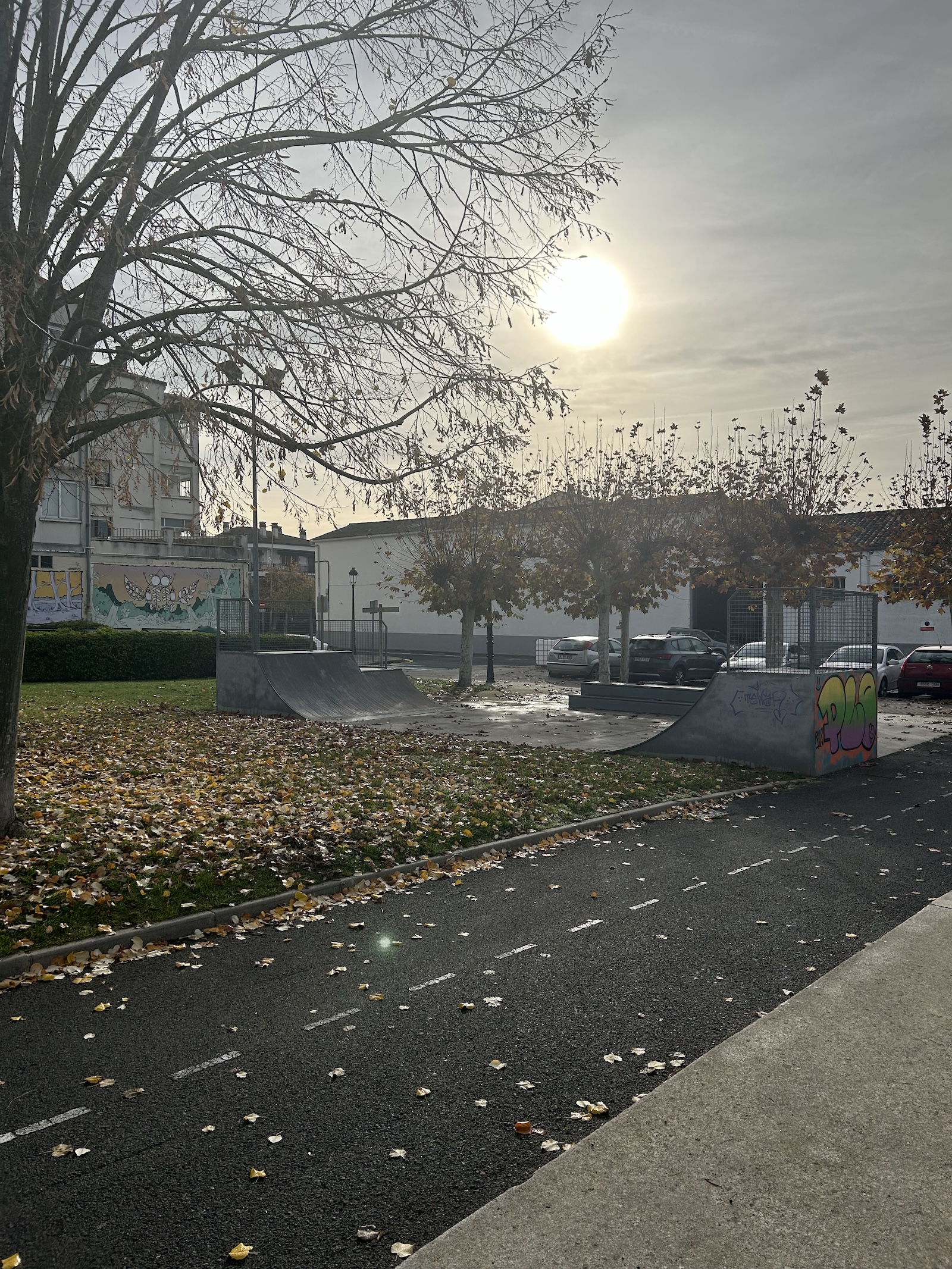 Ororbia skatepark